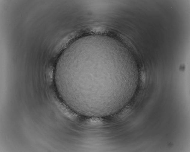 X0000114620668200911101215