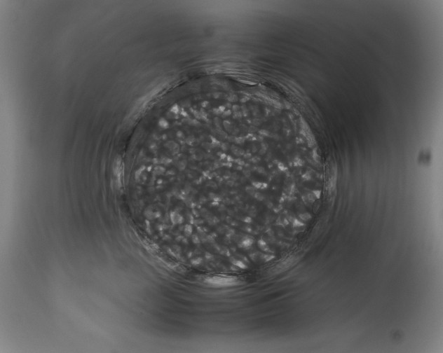 X0000114620669200911101215