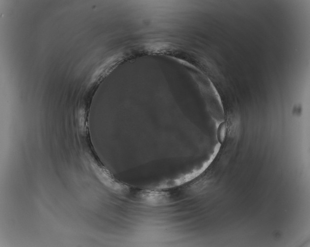 X0000114620670200911101215