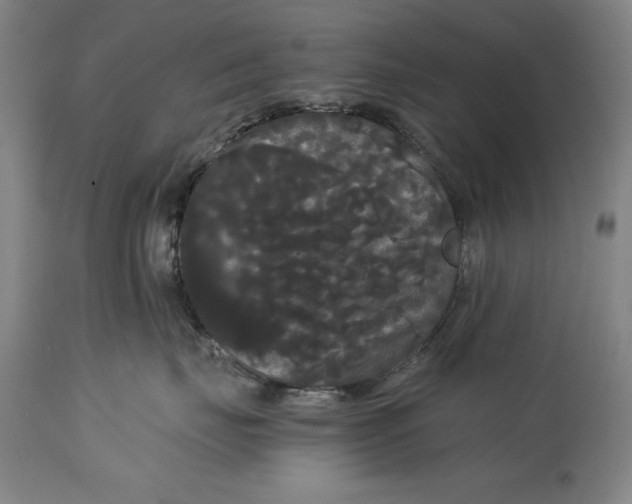 X0000114620671200911101215