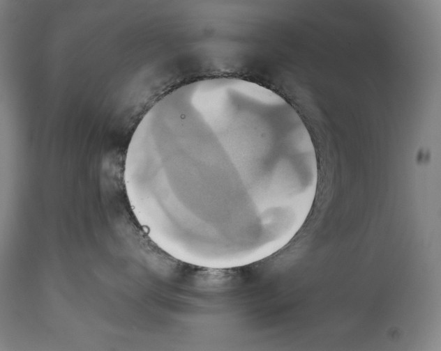 X0000114620672200911101215