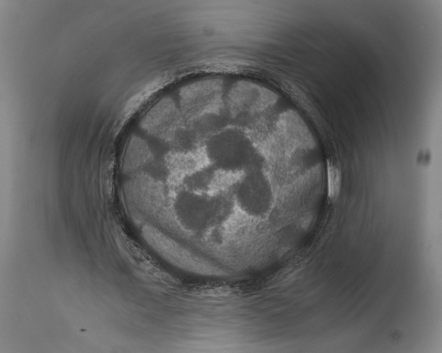 X0000114620675200911101215