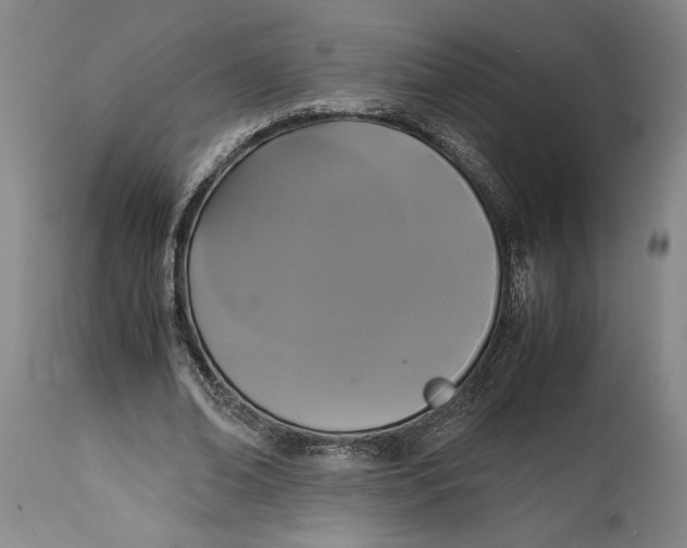 X0000114620678200911101215