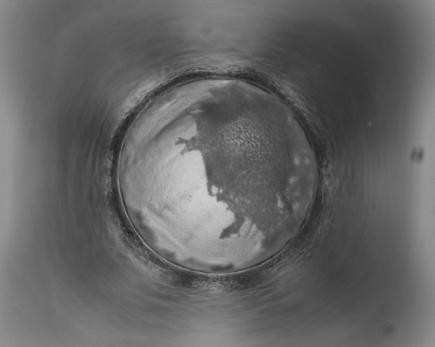 X0000114620679200911101215