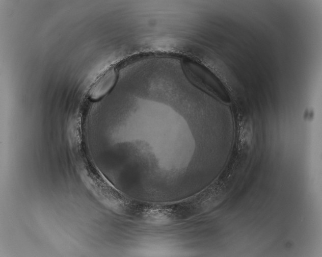 X0000114620680200911101215