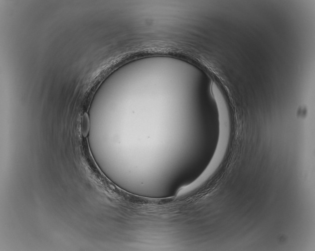 X0000114620681200911101215