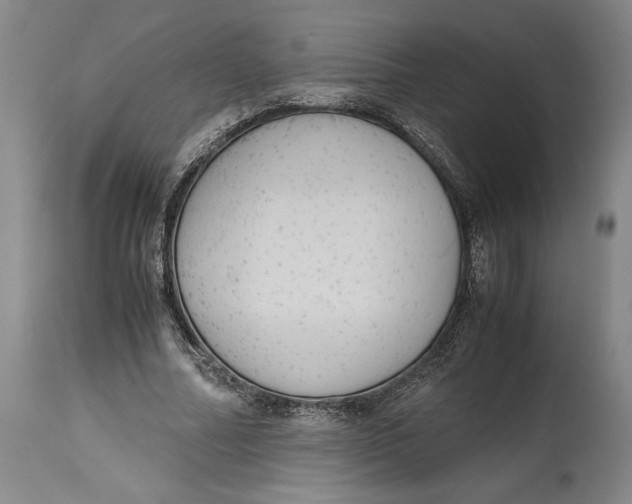 X0000114620682200911101215