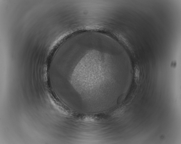 X0000114620684200911101215