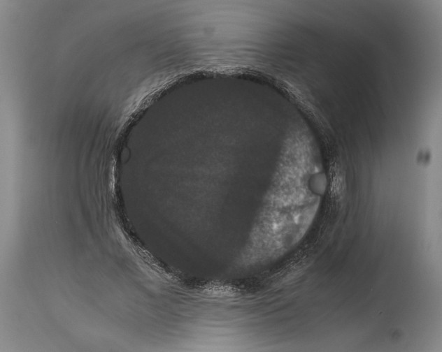 X0000114620685200911101215