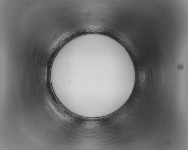 X0000114620686200911101215