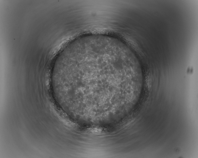 X0000114620687200911101215