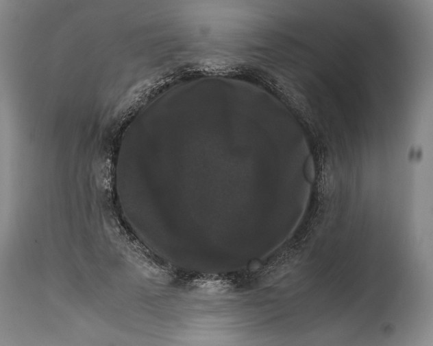 X0000114620689200911101215