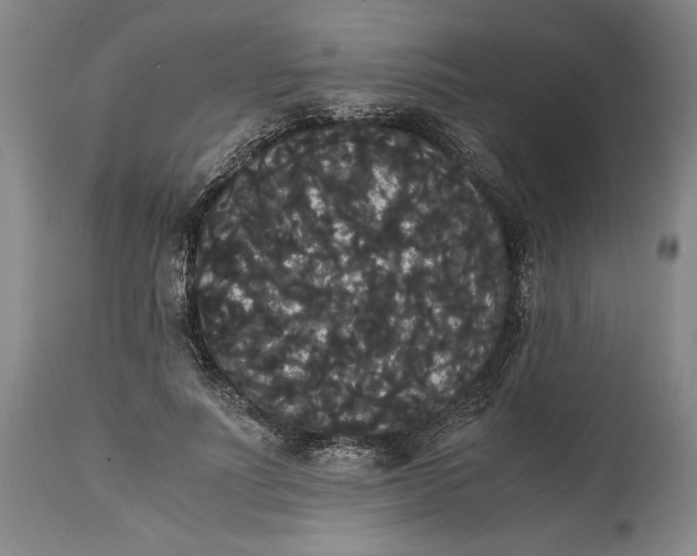 X0000114620691200911101214