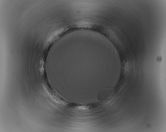 X0000114620692200911101214