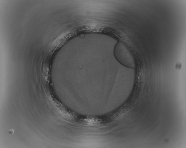 X0000114620693200911101214