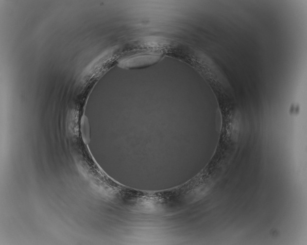 X0000114620696200911101214
