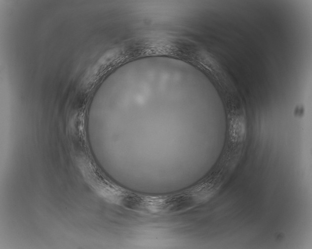 X0000114620701200911101214