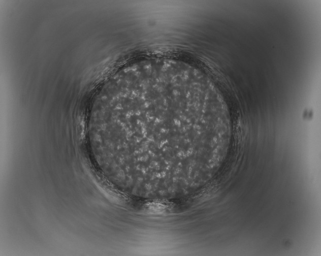 X0000114620703200911101214