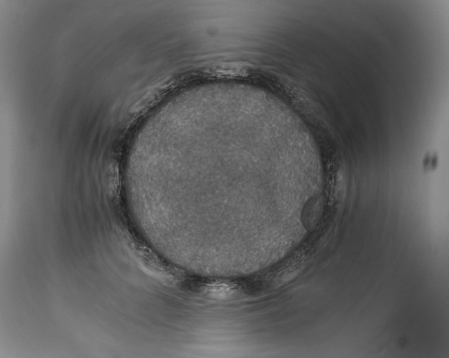 X0000114620704200911101214