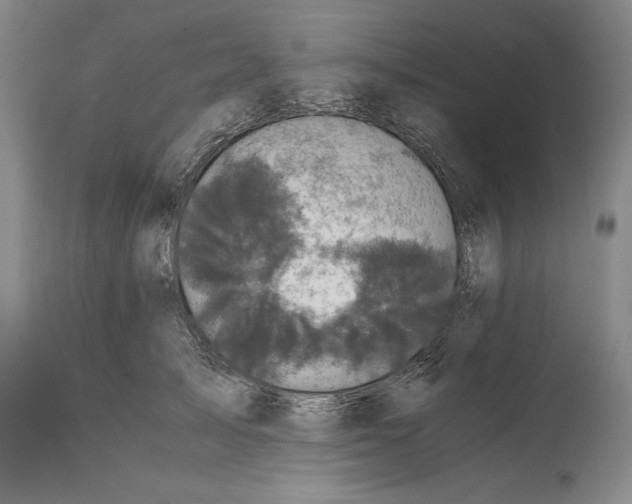 X0000114620705200911101214