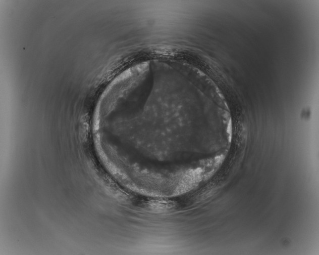 X0000114620707200911101214
