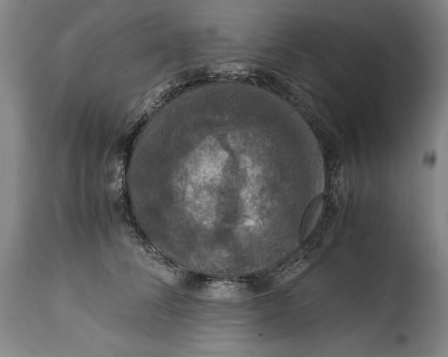 X0000114620708200911101214
