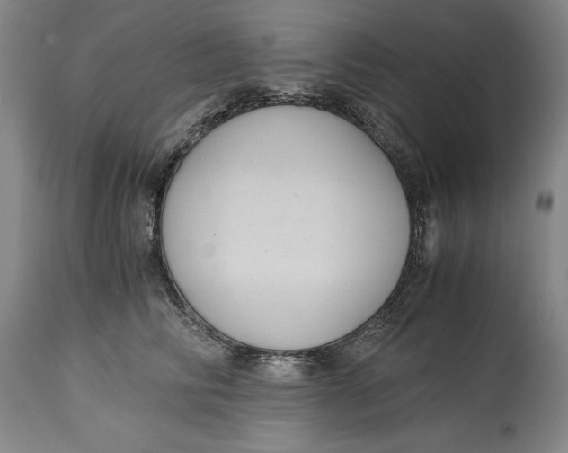 X0000114620710200911101214