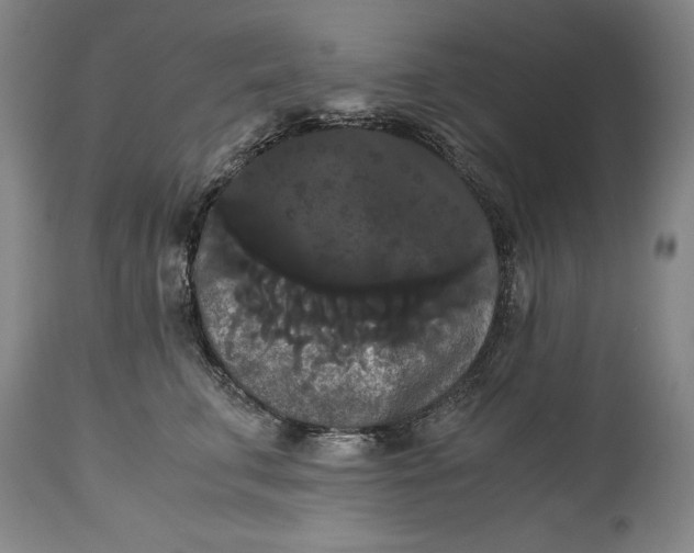 X0000114620711200911101214