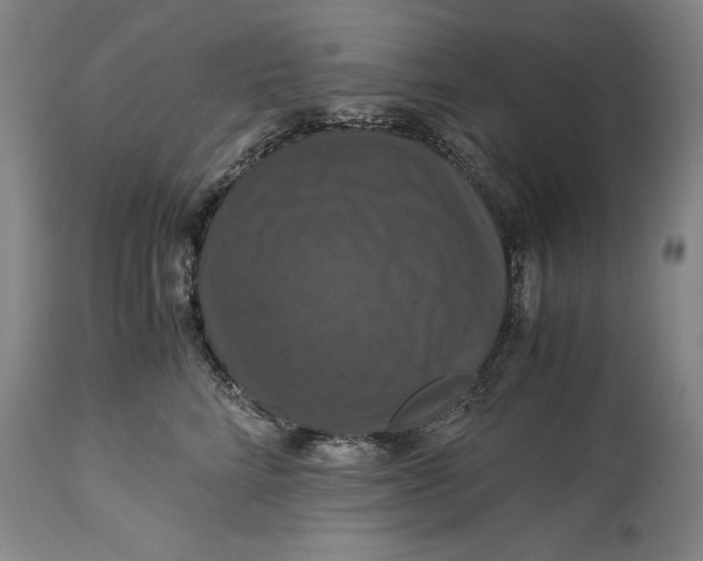 X0000114620712200911101214