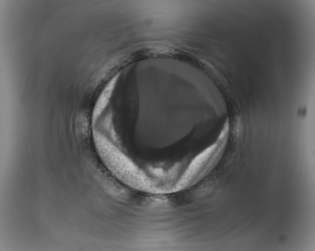 X0000114620715200911101214