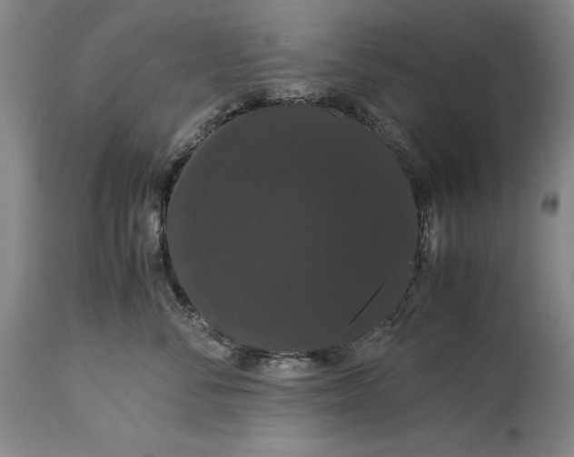 X0000114620716200911101214