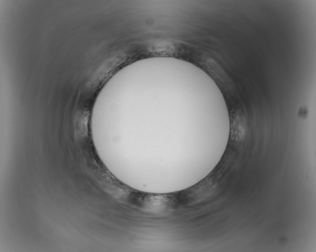 X0000114620717200911101214