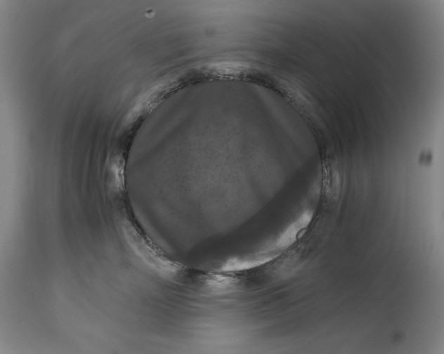 X0000114620718200911101214