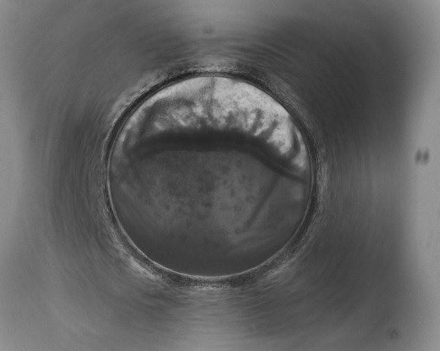X0000114620721200911101213