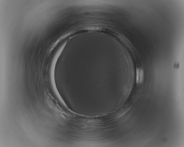 X0000114620723200911101213