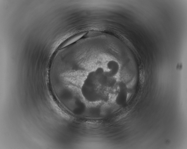 X0000114620725200911101213