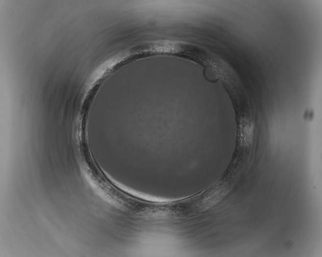 X0000114620726200911101214