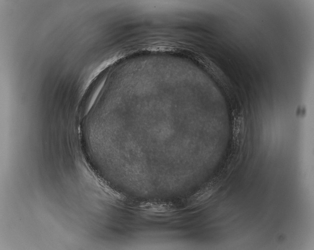 X0000114620727200911101214