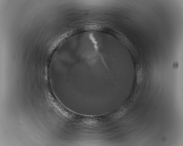 X0000114620729200911101214