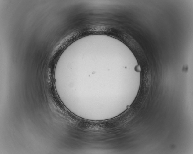 X0000114620731200911101214