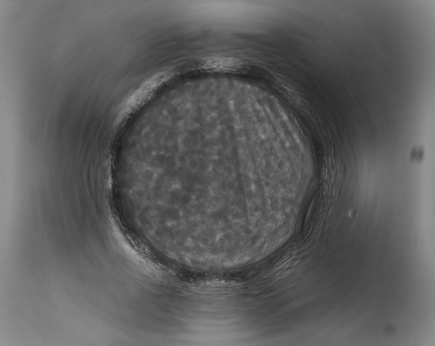 X0000114620734200911101214