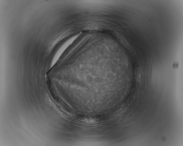 X0000114620735200911101214