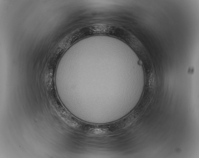 X0000114620737200911101214
