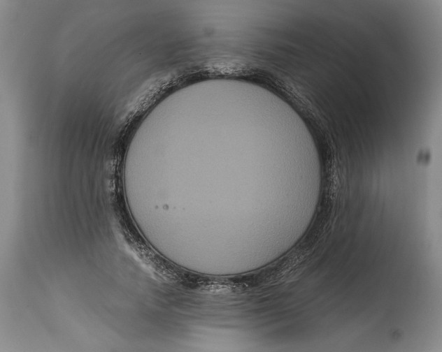 X0000114620738200911101214