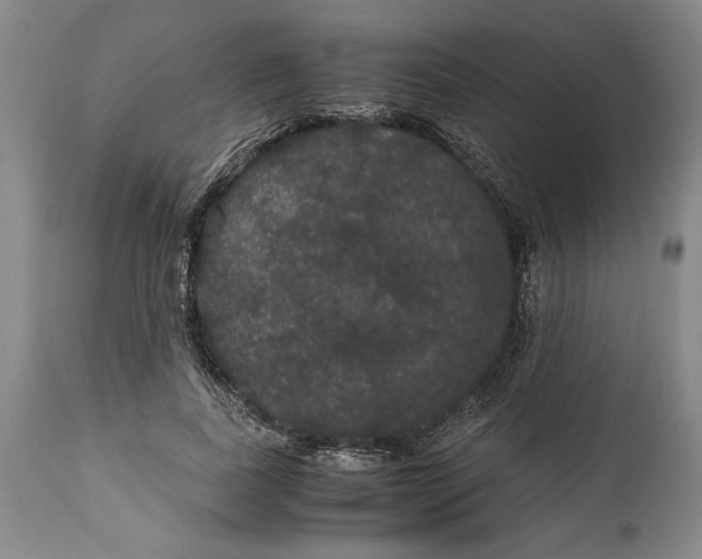 X0000114620739200911101214