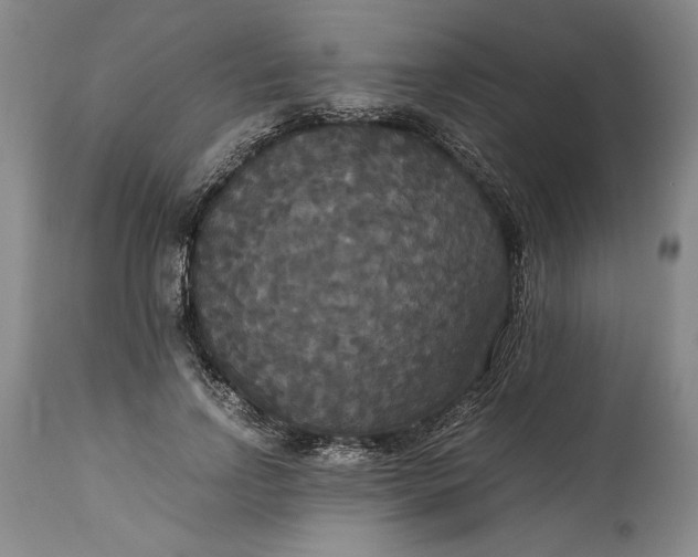 X0000114620742200911101214