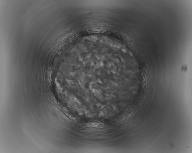 X0000114620745200911101214