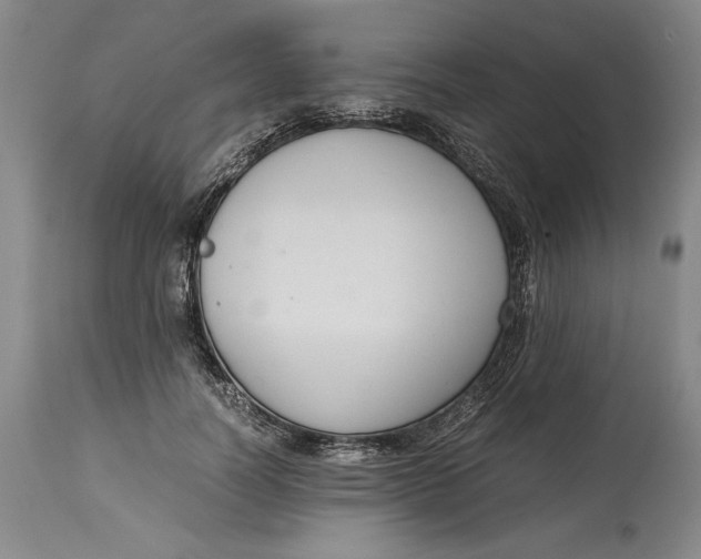 X0000114620746200911101214