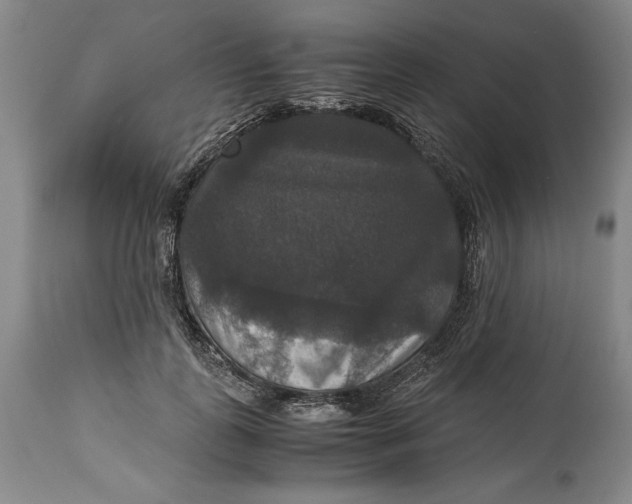 X0000114620747200911101214