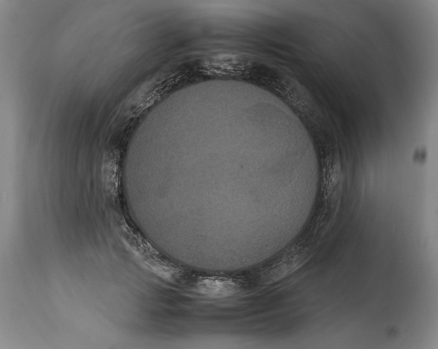 X0000114620749200911101214